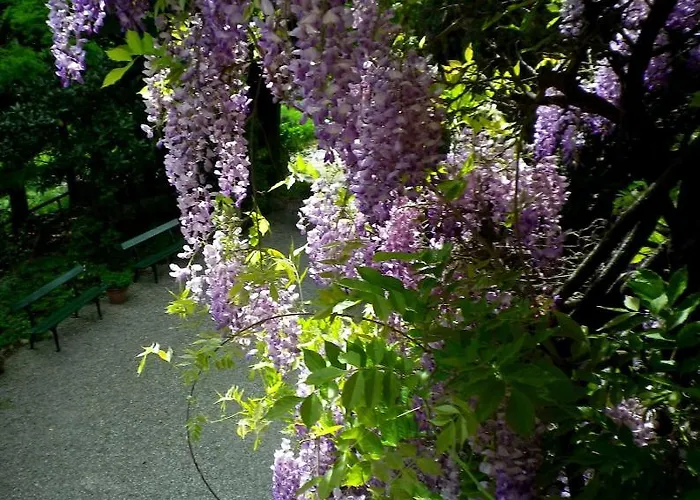 Le Querce 3* Сальсомаджоре-Терме