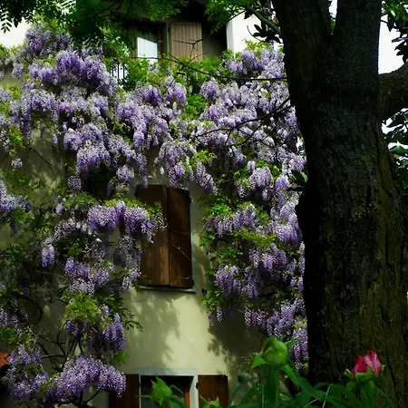 Ξενοδοχείο Country Hotel Le Querce