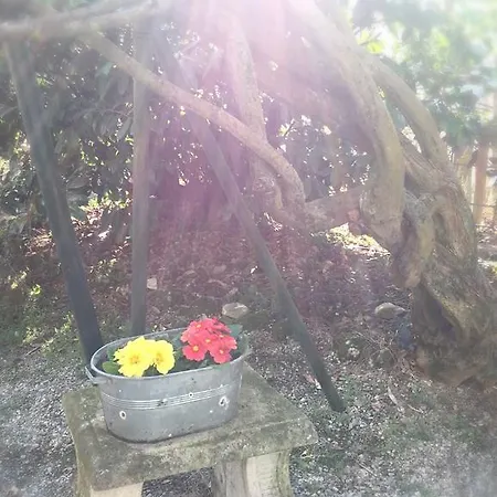 Ξενοδοχείο Country Hotel Le Querce