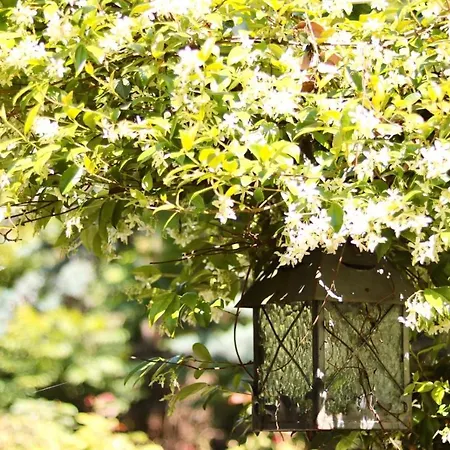 Country Hotel Le Querce
