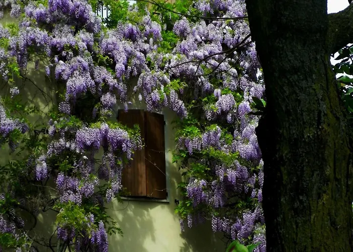 ホテル Le Querce